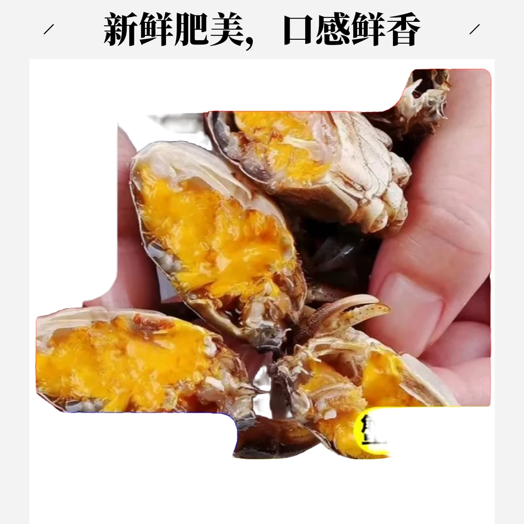 【15送5只】江苏青蟹1.0-1.1两 次日达 顺丰包邮W2