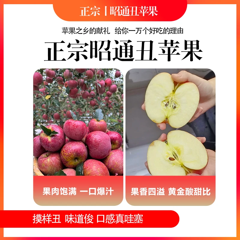 【云南昭通丑苹果B级果】昭通丑苹果现摘现发应季水果（无售后）