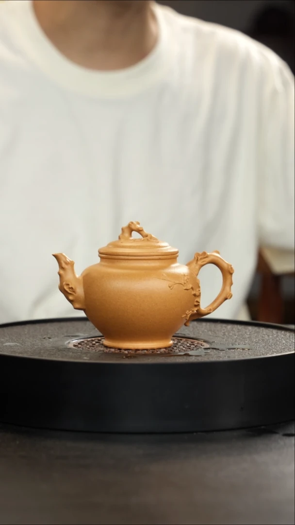 茶壶紫砂老宕口天花板黄金段报春超级大漏