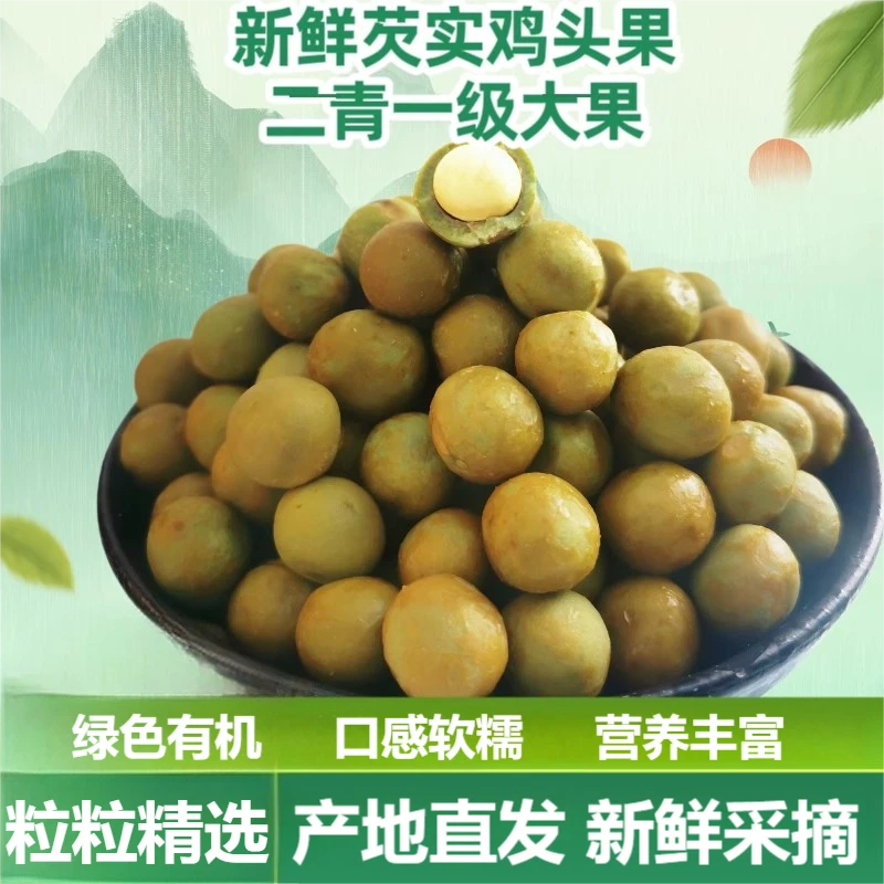 2025年天长芡实新鲜鸡头果鸡头米籽带壳精选二青一级大果12mm左右