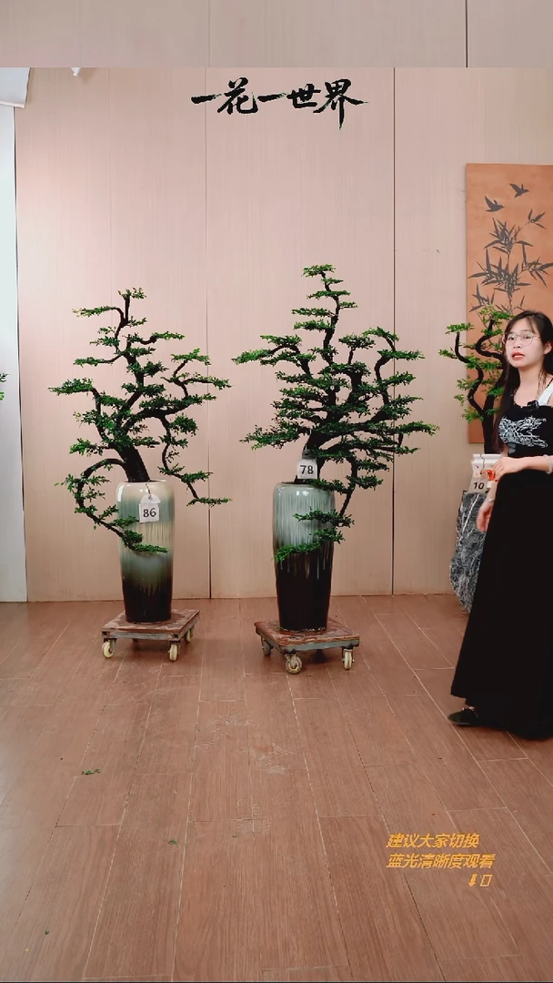 无花朵啊*【闪购链接】78号链接
