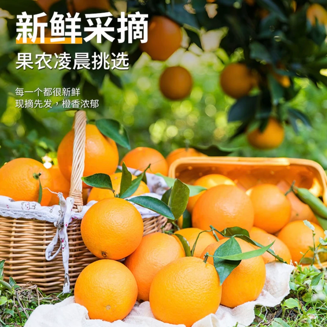 【曾欣果业树熟脐橙】正宗赣南脐橙香甜爽口橙香浓郁