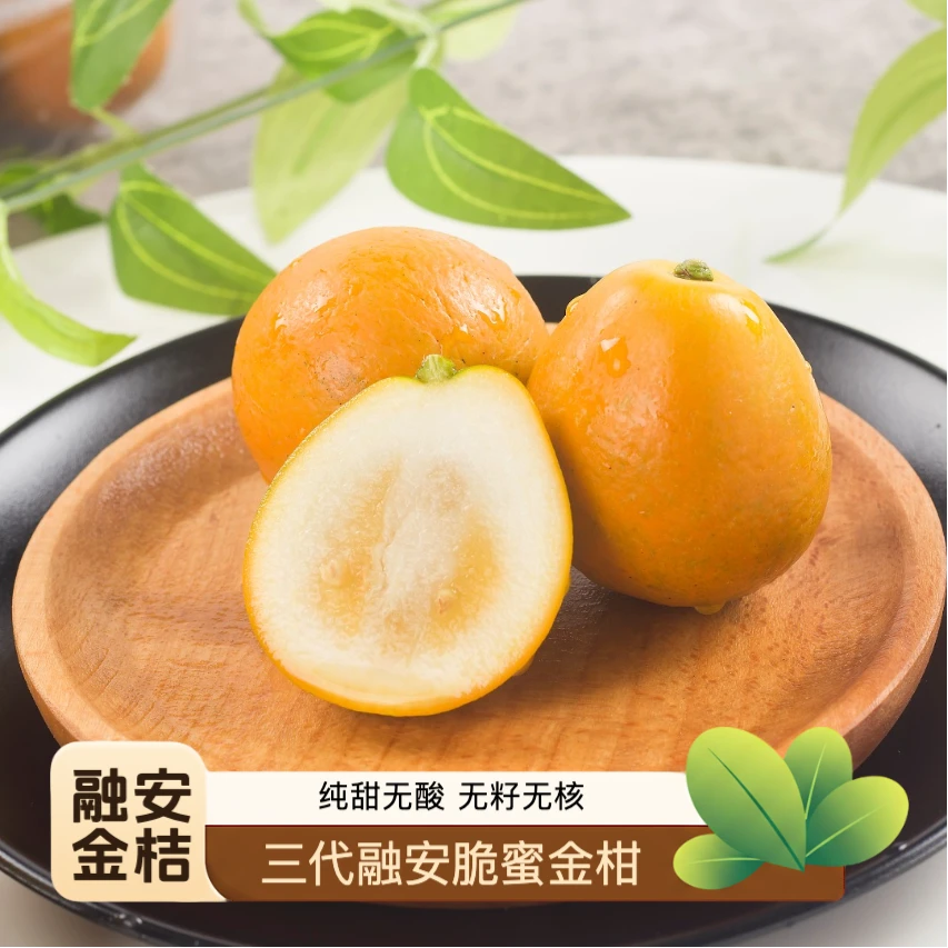 【融安金桔】正宗脆蜜金柑三代脆蜜金柑现摘水果 融安金桔 纯甜无酸