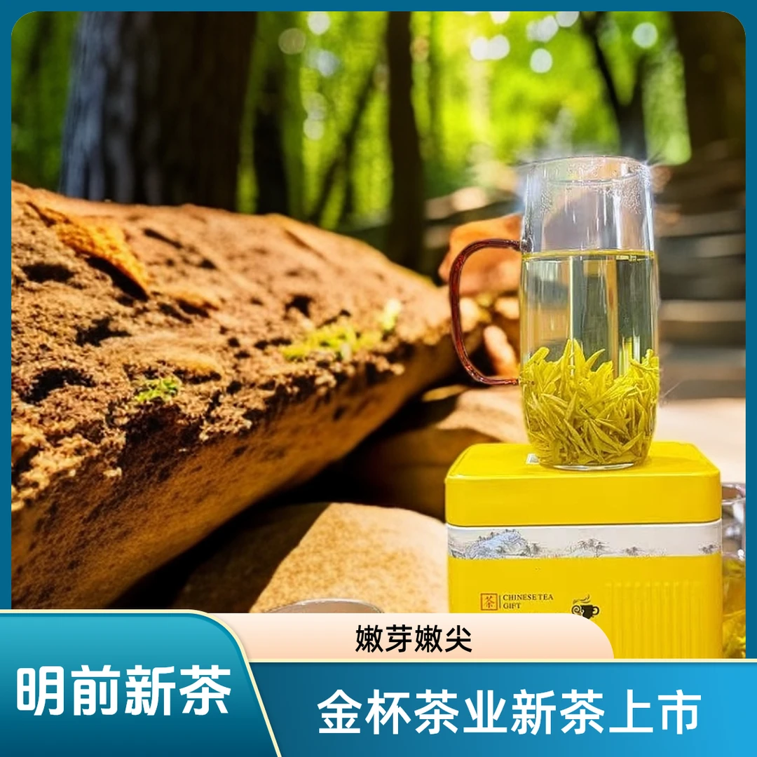 【金杯茶业】W428 2025年新茶-高货顶货-高山小芽