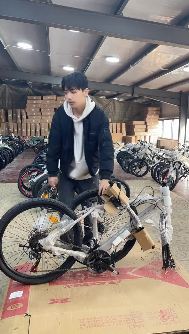 24寸-24速-棕【默认微瑕，不退不换，介意勿拍】