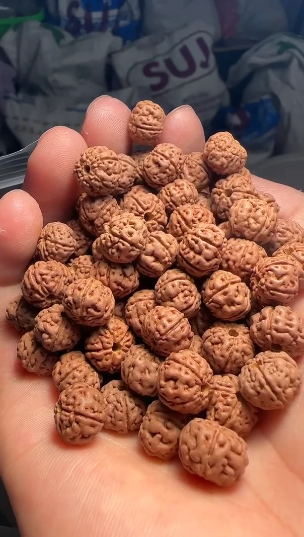 手串金刚菩提非全品老树王散籽10-11mm一份一百颗