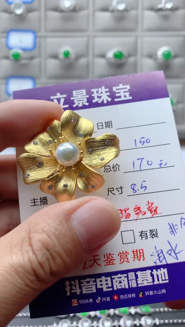颈饰未镶嵌海水珍珠胸针吊坠两用