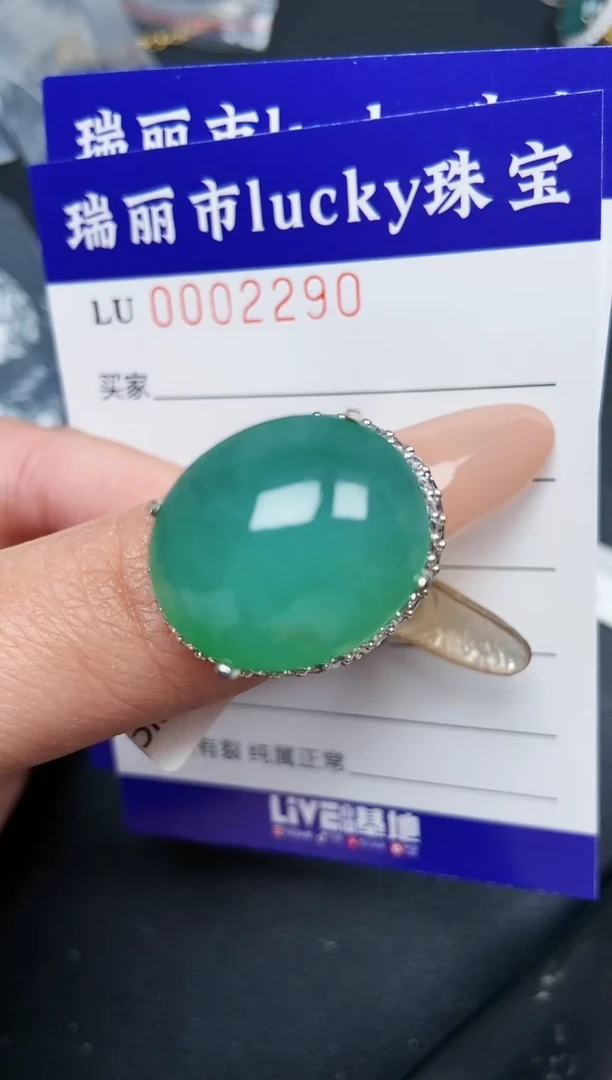 【闪购商品】翡翠颈饰未镶嵌铜托2290