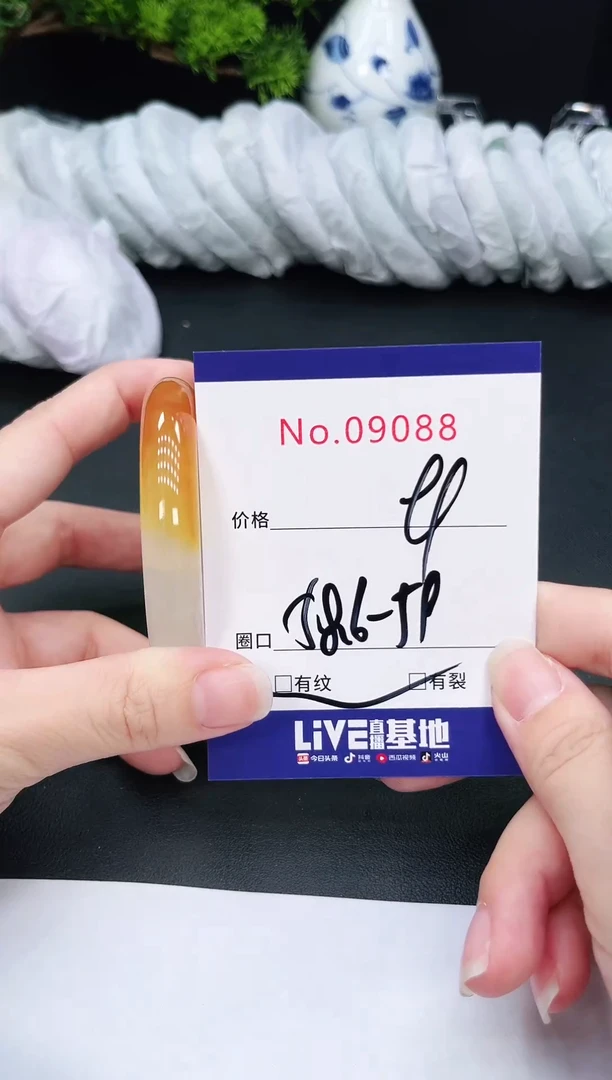 未镶嵌手镯翡翠9088