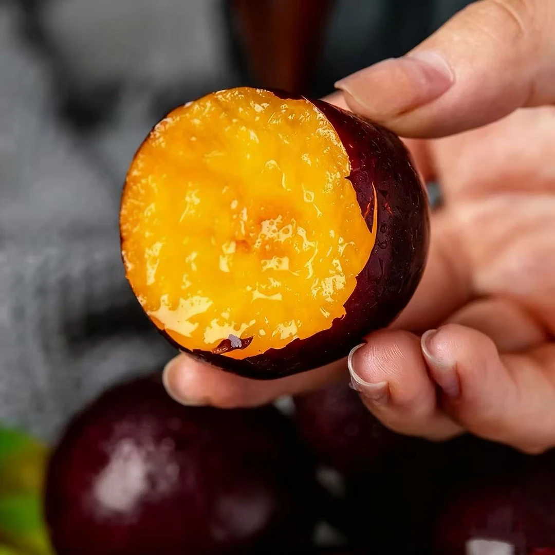 顺丰发货 新疆味厚李子特产新鲜水果  （7斤装）