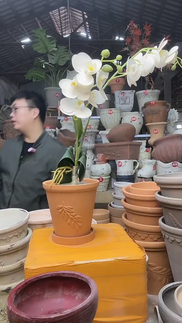 【闪购商品】缸1套13*13红陶橄榄 送陶土托