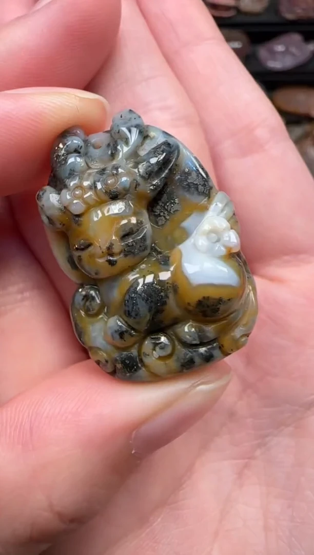 颈饰未镶嵌硅化珊瑚（珊瑚玉）168