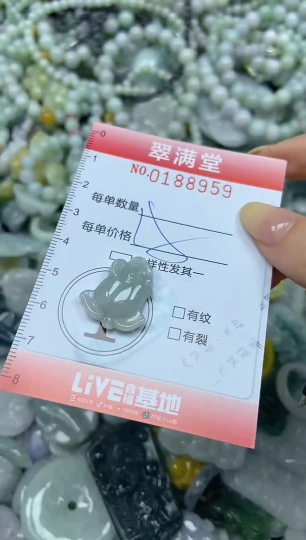 颈饰未镶嵌翡翠闪购0188959