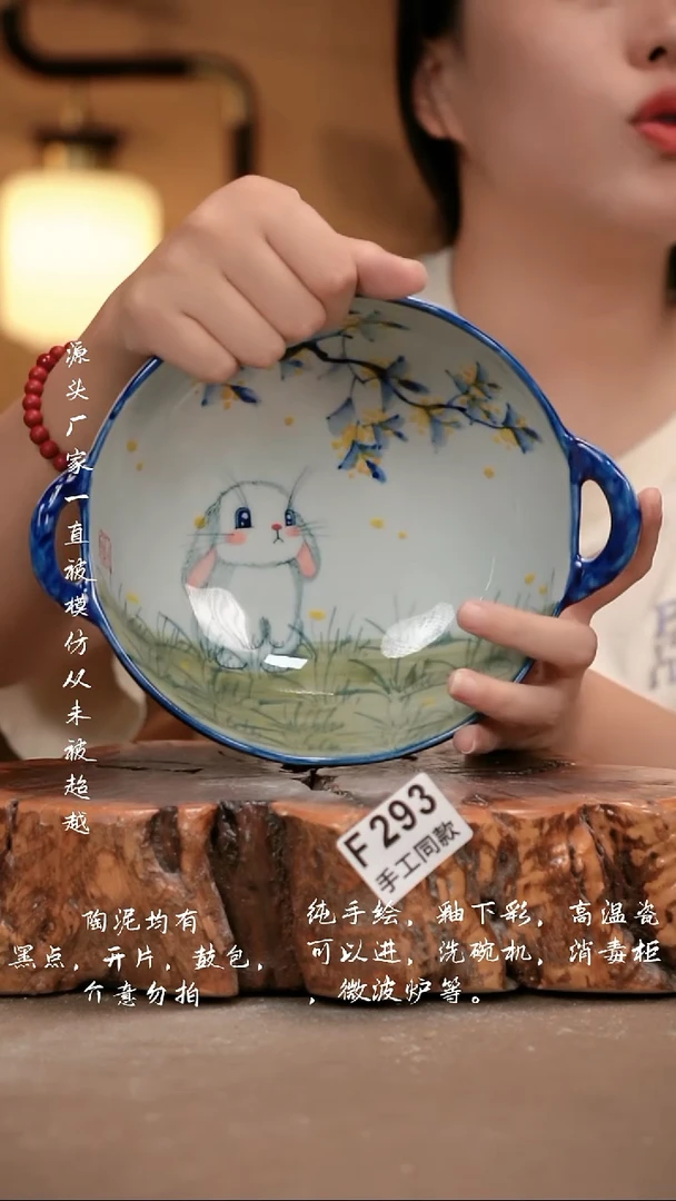其他F293 新十二器