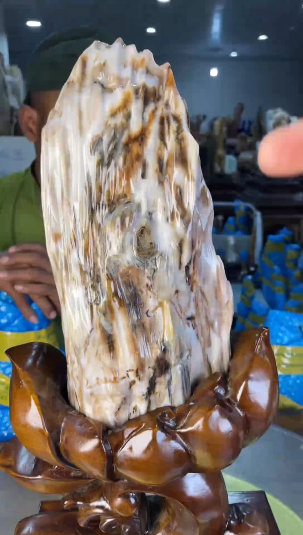 未镶嵌摆件硅化玉70