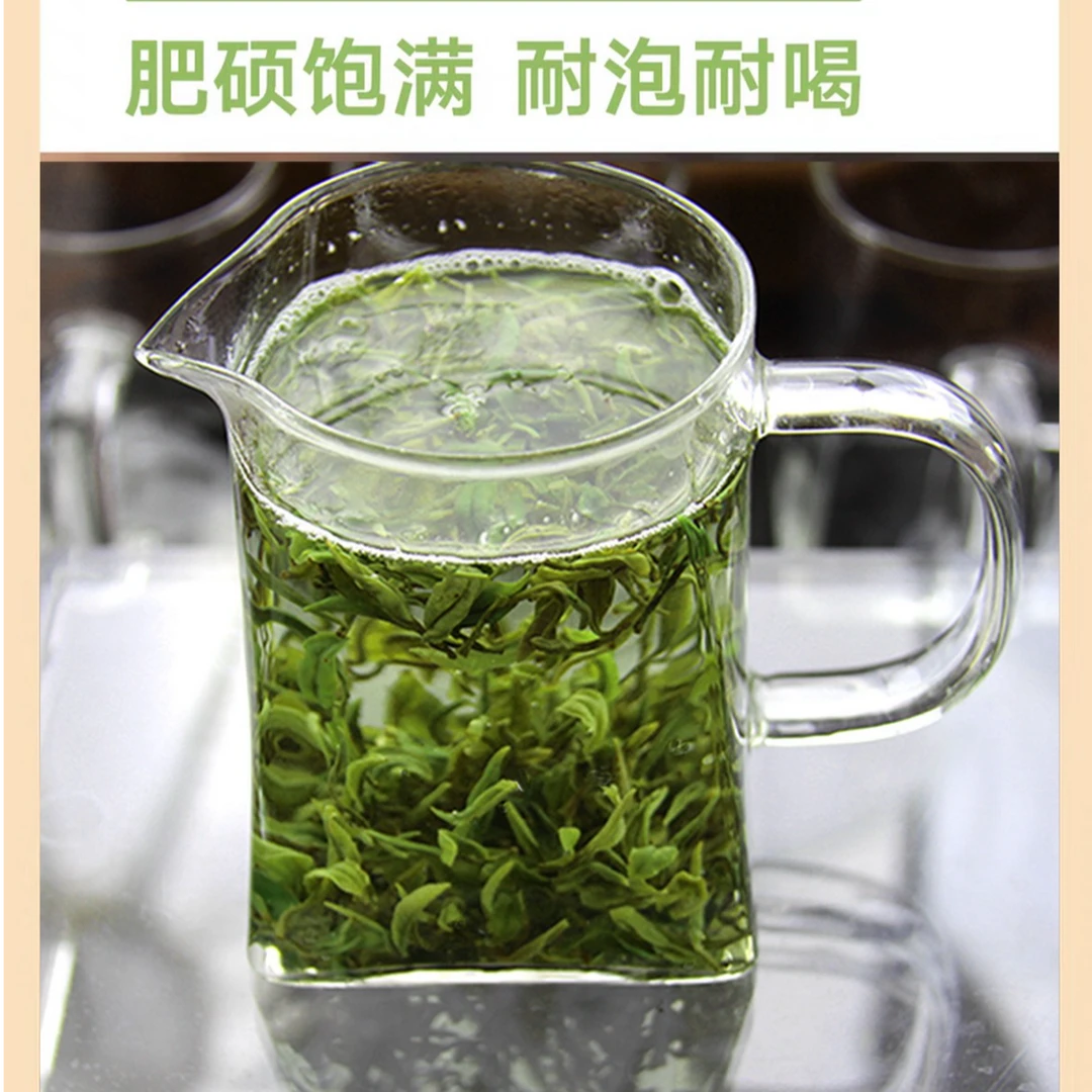 曼瑞春日照绿茶2025年4月初头采，毛尖豌豆鲜香，鲜嫩新茶爽口