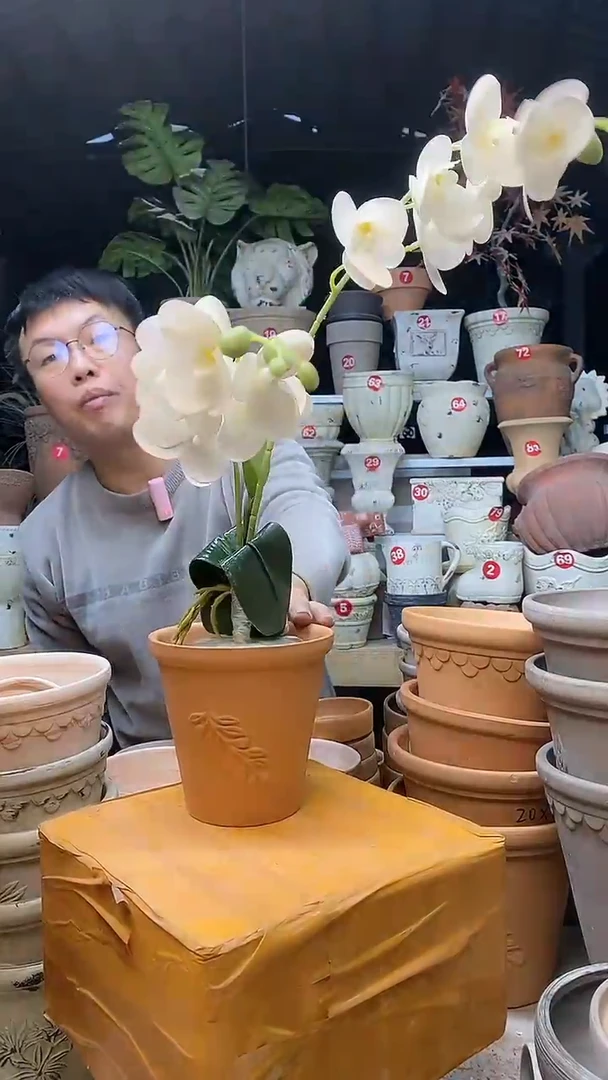 【闪购商品】缸1个13*13红陶橄榄无托无托