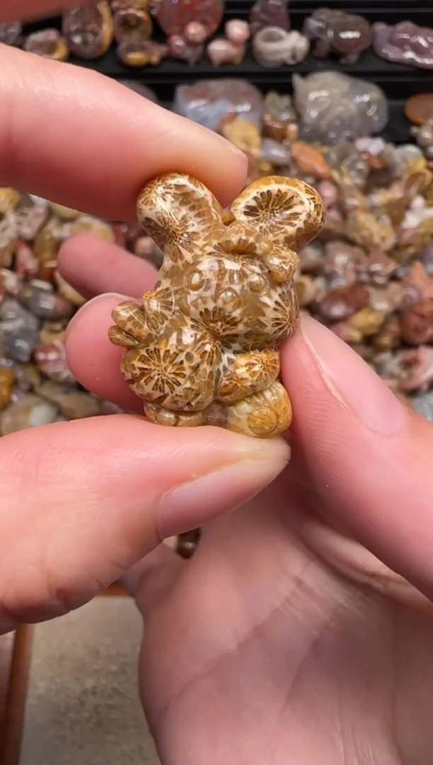 颈饰未镶嵌硅化珊瑚（珊瑚玉）424