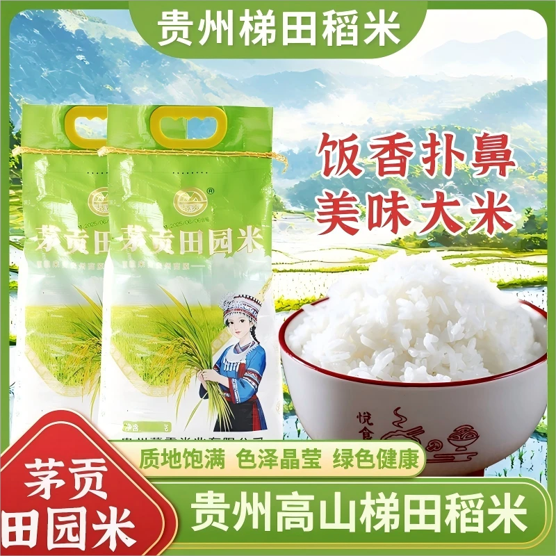 茅贡田园米贵州一年一季优质生态米农家好米米香浓郁大米新米