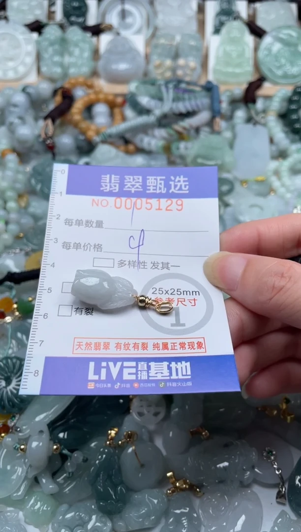 翡翠未镶嵌颈饰00..5129