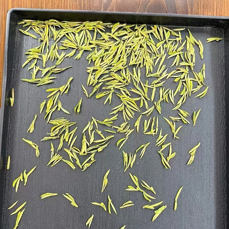 【新茶奶白品鉴装50g】正宗奶白黄金芽茶叶罐装安吉小芽奶白头春茶