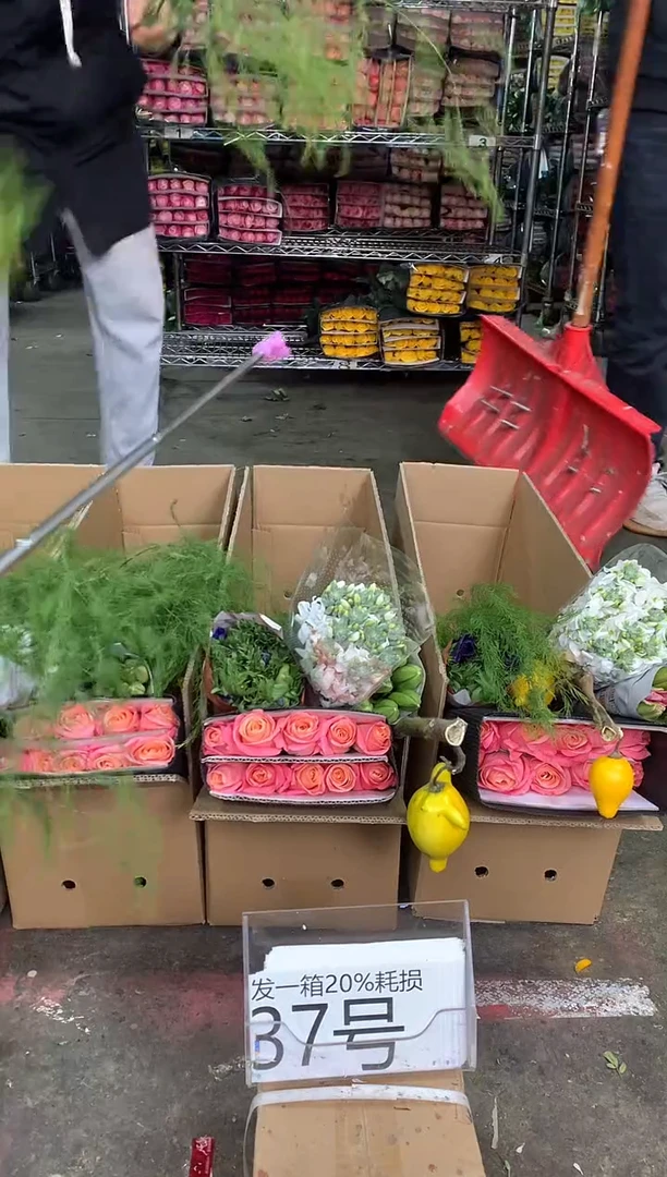 37号♥中通含20%耗损发一箱鲜花