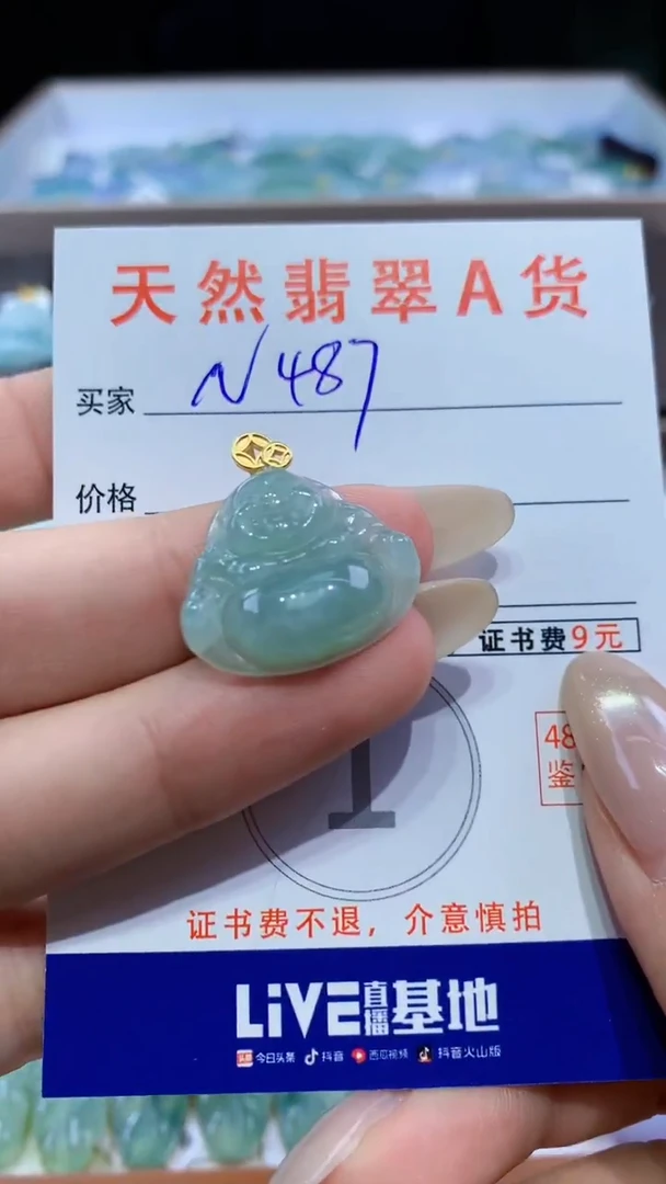 颈饰未镶嵌翡翠天然翡翠A货挂件