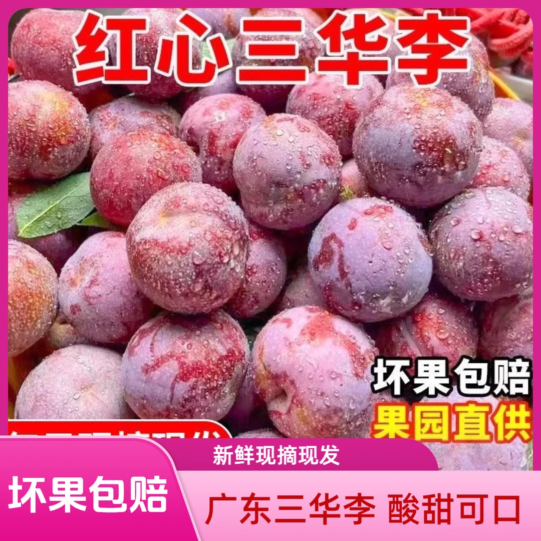 精品】送酸梅粉)广东红心三华李新鲜现摘酸甜脱骨当季水果孕妇