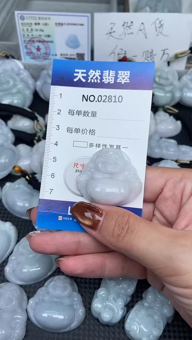 颈饰未镶嵌翡翠天然A货翡翠纯2810