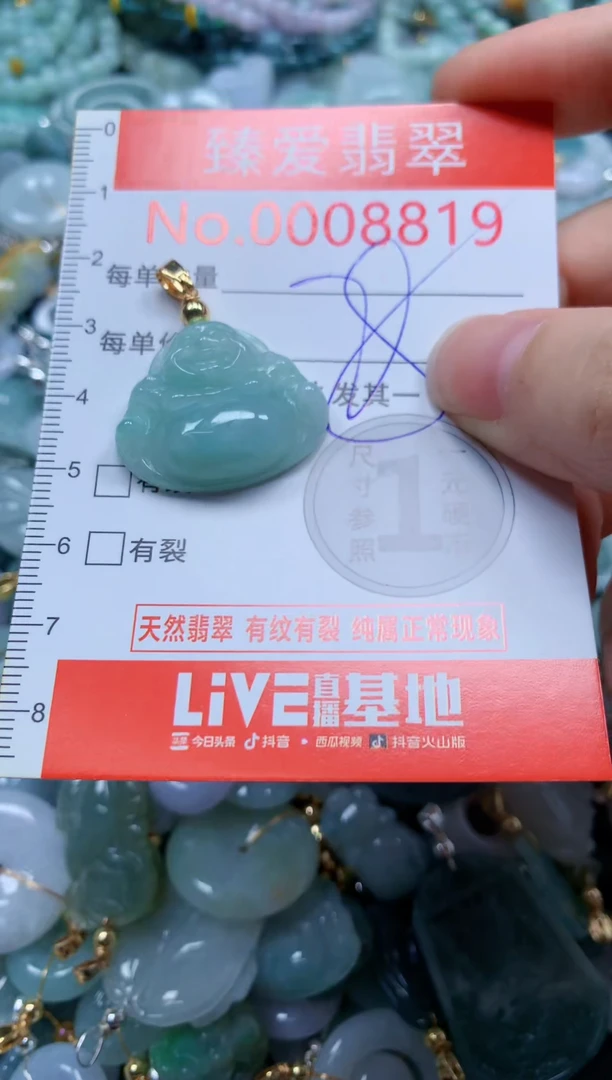 翡翠未镶嵌吊坠(不含链)8819