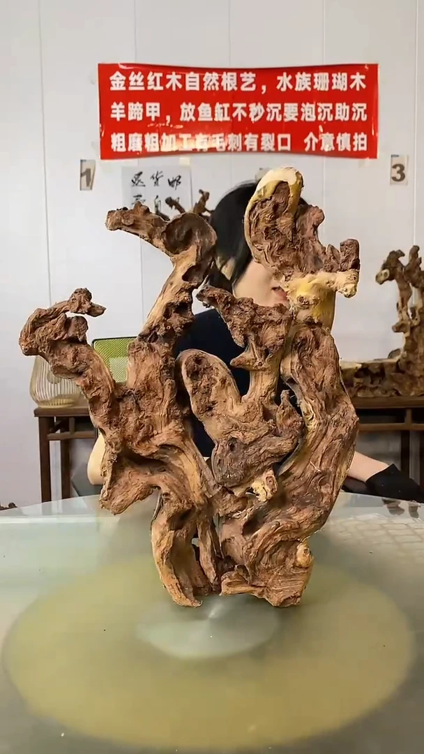 香榧木林*金丝红木 羊蹄甲