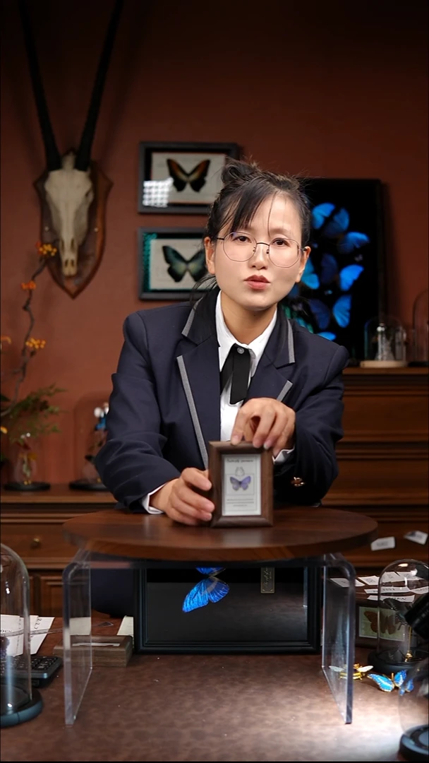 小灰蝶 木质冰箱贴  常规