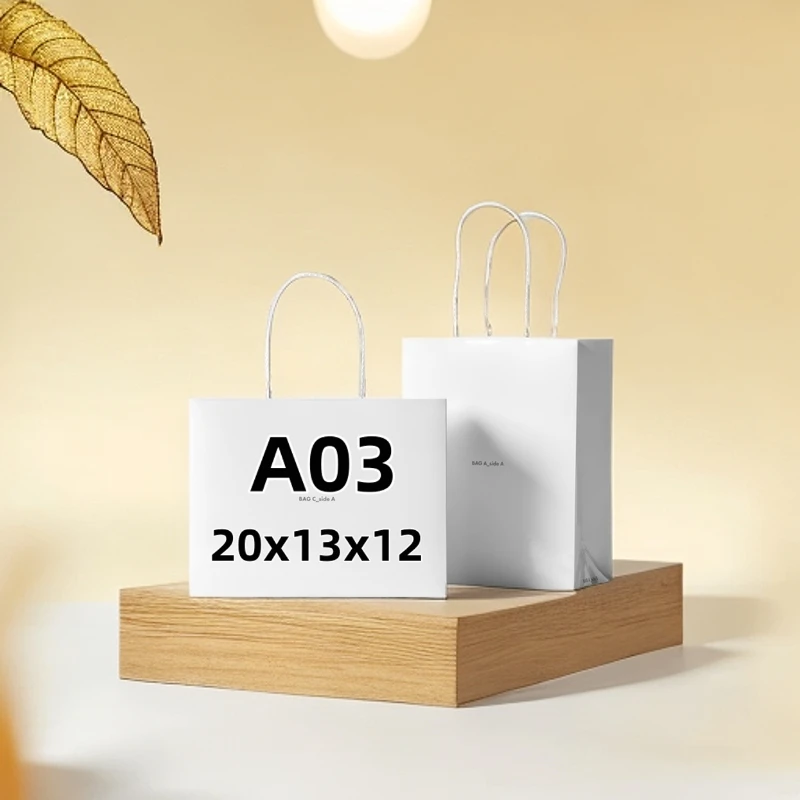 A03-新款高端时尚单肩手提百搭20CM枕头包M46234