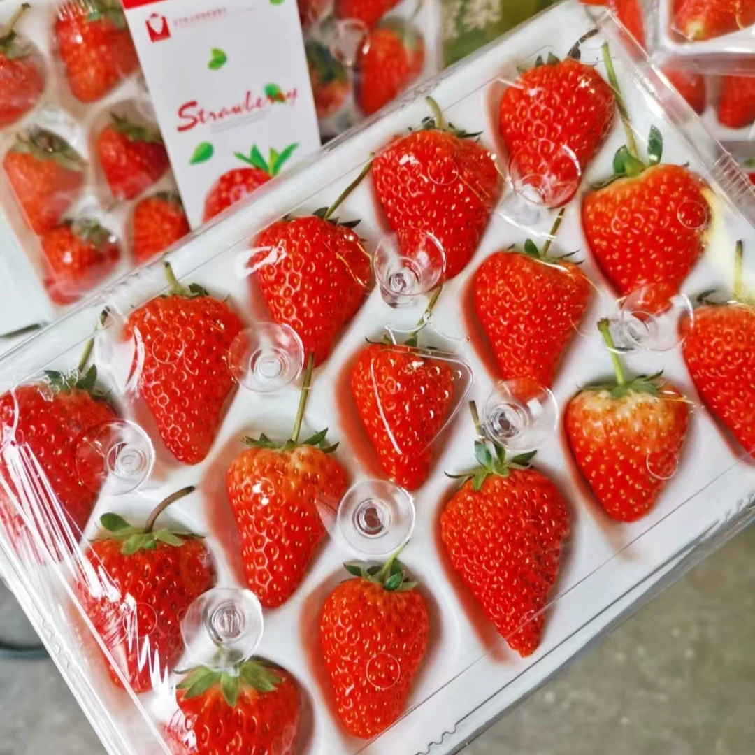 当季水果 丹东九九草莓 水晶盒（19.9元一盒）