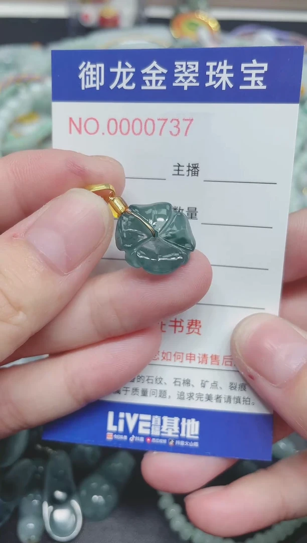 翡翠未镶嵌颈饰020