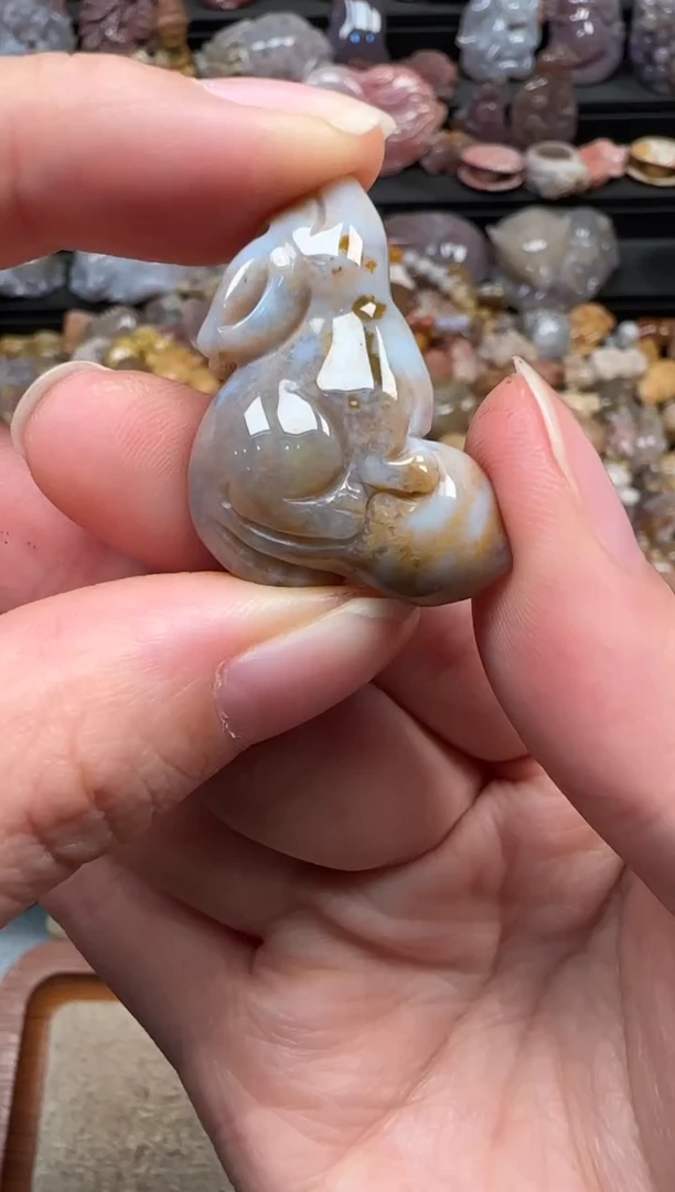 颈饰未镶嵌硅化珊瑚（珊瑚玉）781