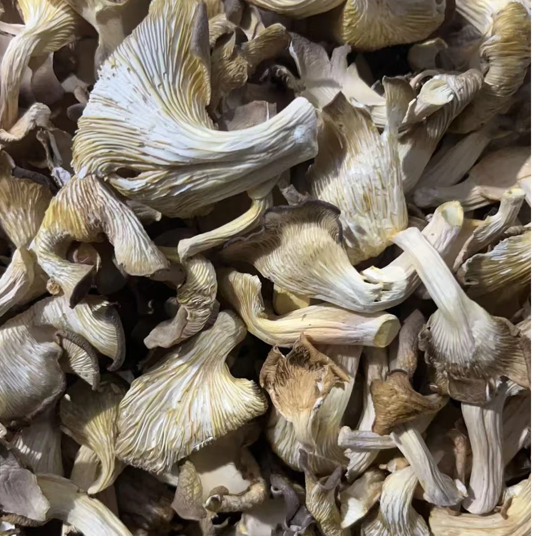 新货山货秀珍菇干货