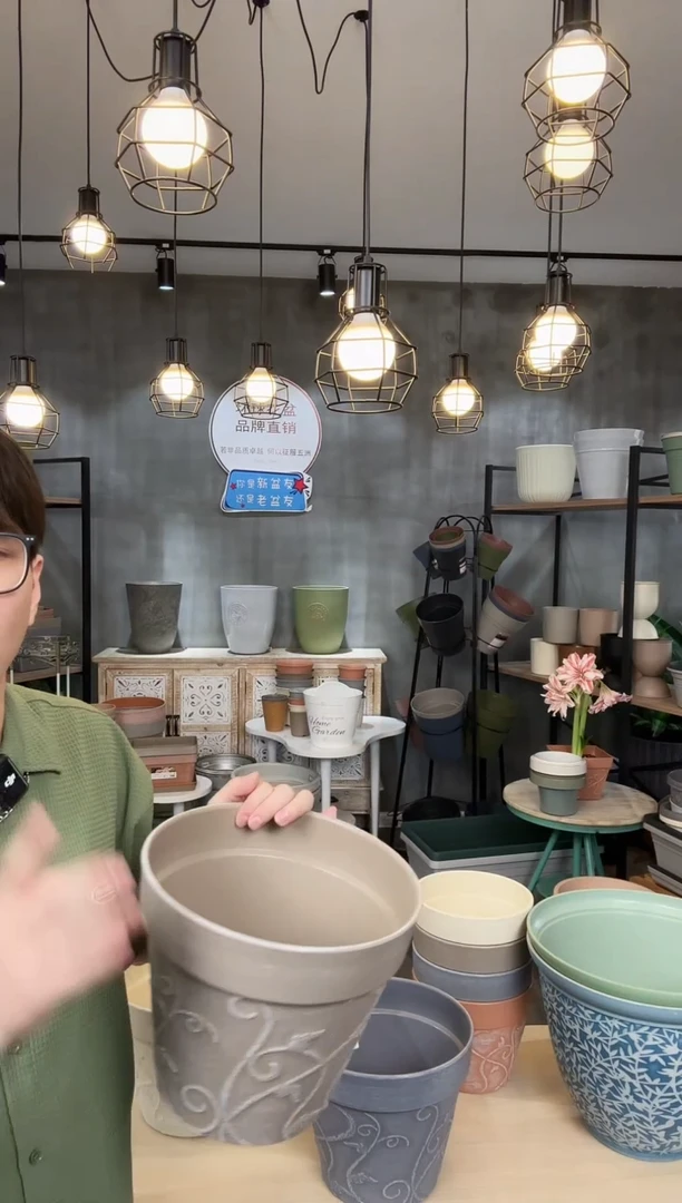 特价10寸紫苏圆盆混色10只装