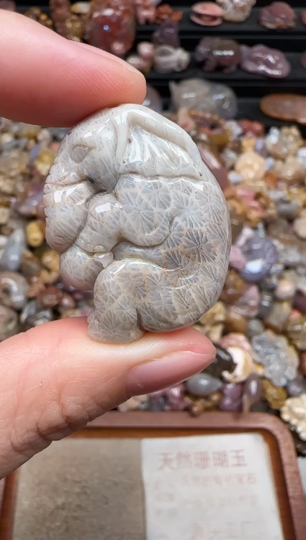 颈饰未镶嵌硅化珊瑚（珊瑚玉）262