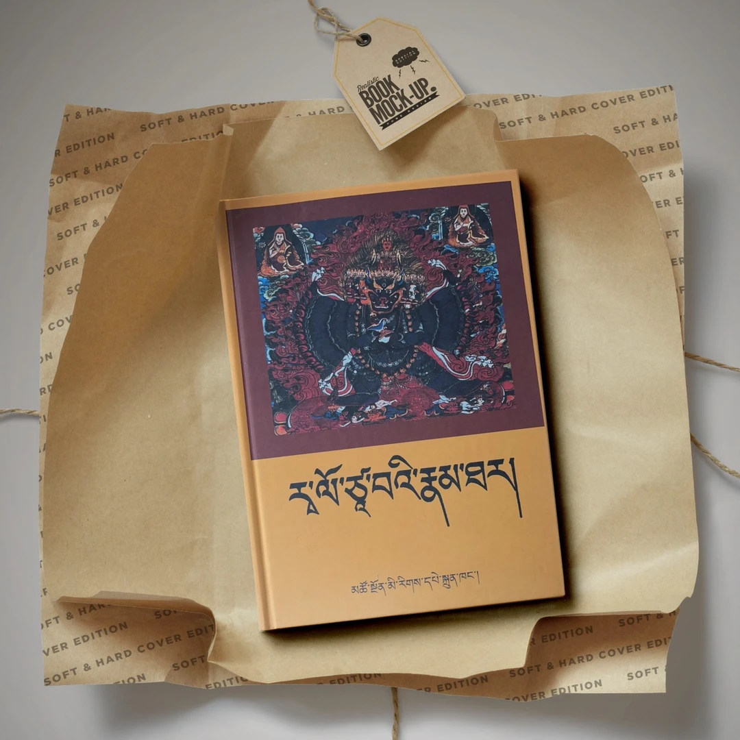 热译师传：藏传佛教史上最狂野的修行者藏文书籍