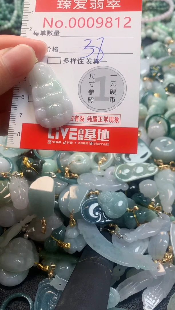 吊坠(不含链)未镶嵌翡翠9812