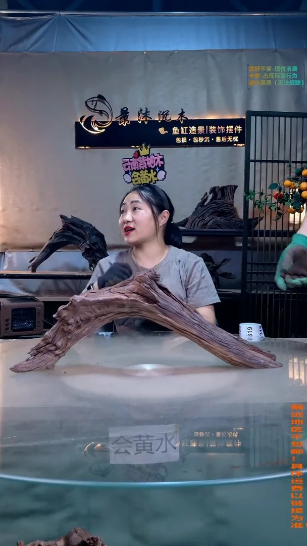 摆件景沐沉木B317 58-12-22