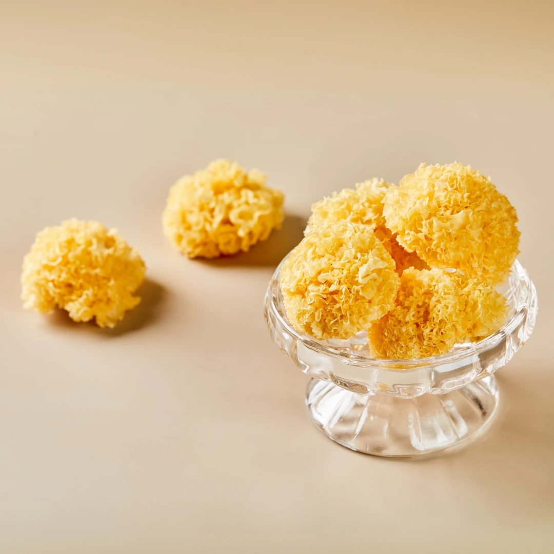 滋百顺精选椴木小银耳香软糯多胶新鲜浓稠特产干货银耳羹营养食材