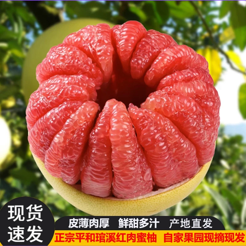 正宗福建平和红心柚子当季新鲜水果应季红孕妇蜜柚整箱批发包邮T