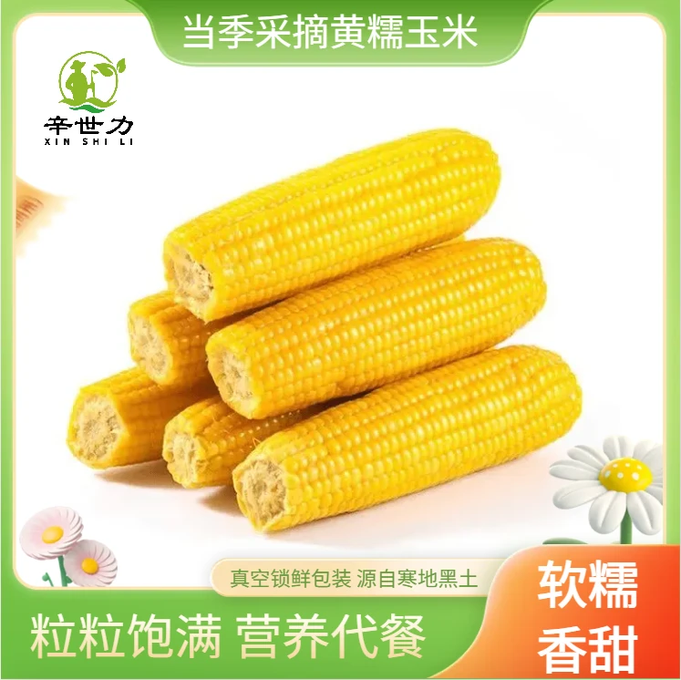 〖试吃2根〗24年当季新下鲜食黄糯262单棒220g-260g/棒