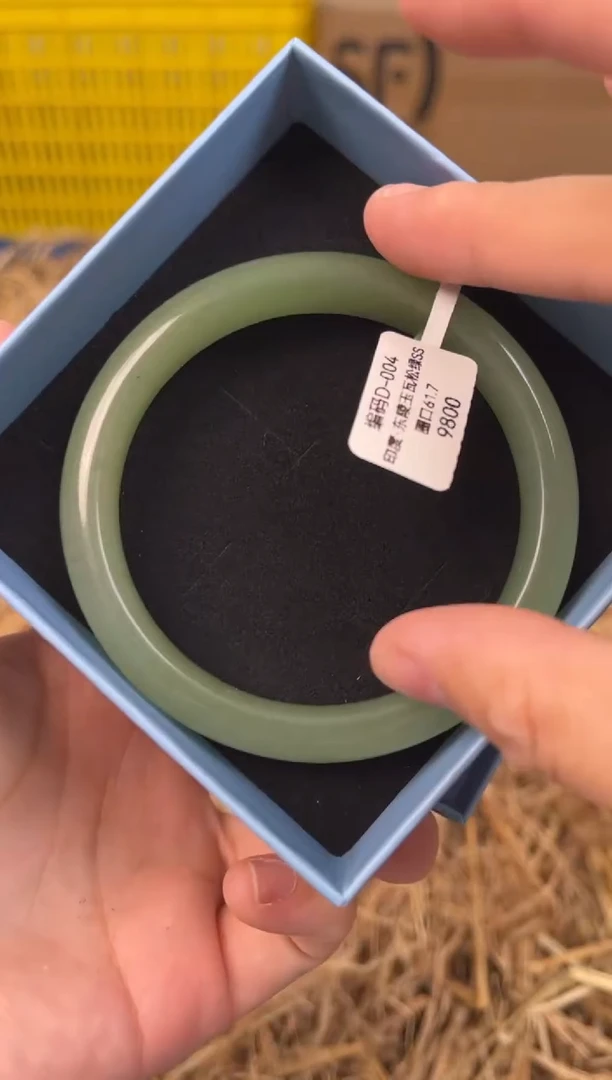 未镶嵌手镯石英质玉编码D-004