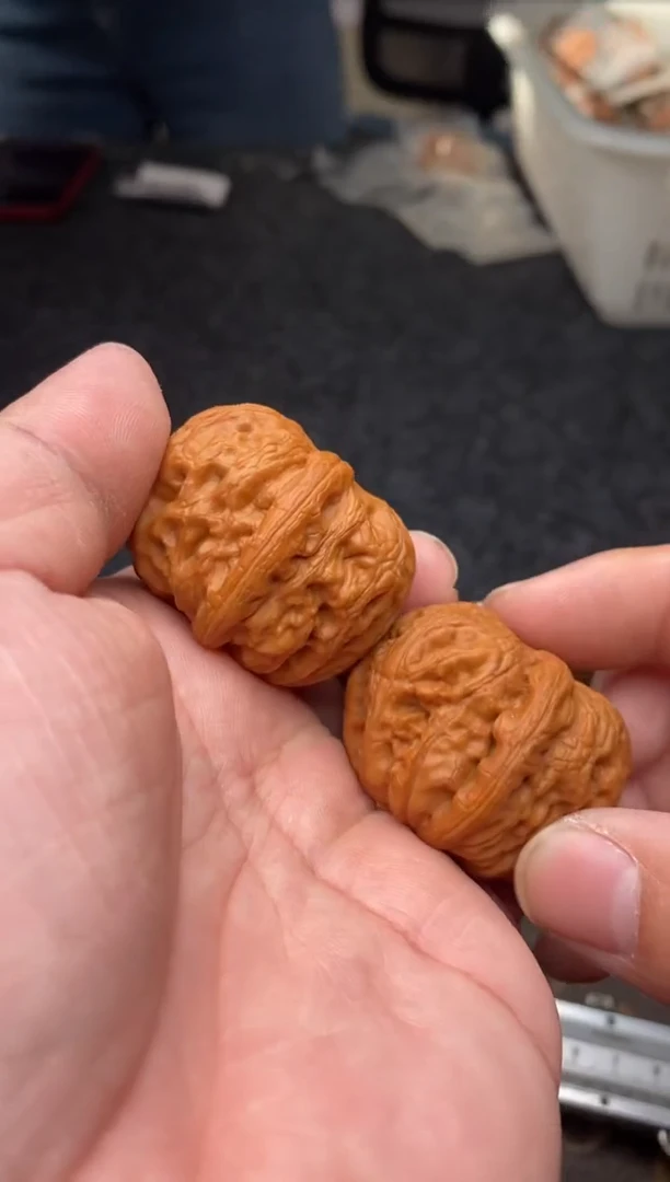 把件文玩核桃B182号元宝42尺