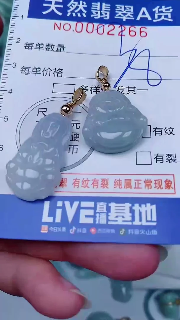 翡翠未镶嵌颈饰00002266