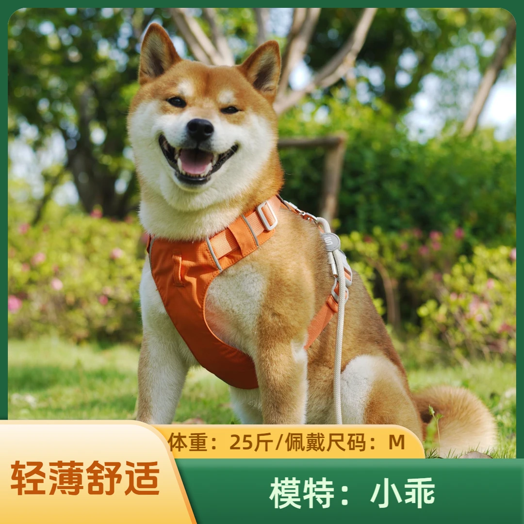 朵猫猫折边胸背带狗链胸背式小中大型犬金毛柯基柴犬狗绳牵引绳