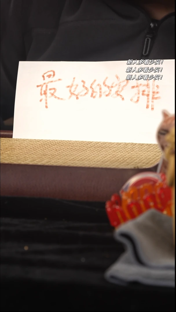 【闪购商品】紫砂茶壶紫砂壶紫砂壶星守护